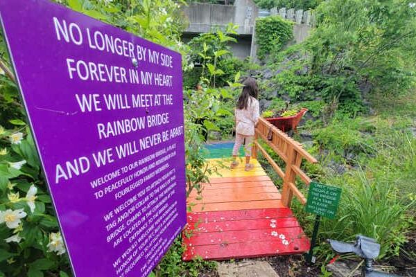 rainbow bridge